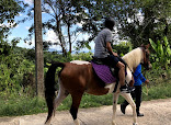 HORSE CLUB (Layan Beach) thumb 6